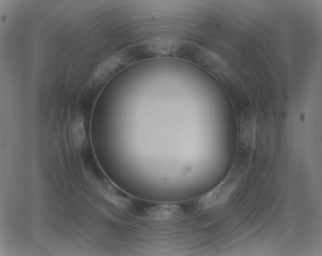 X0000062850128200601131359