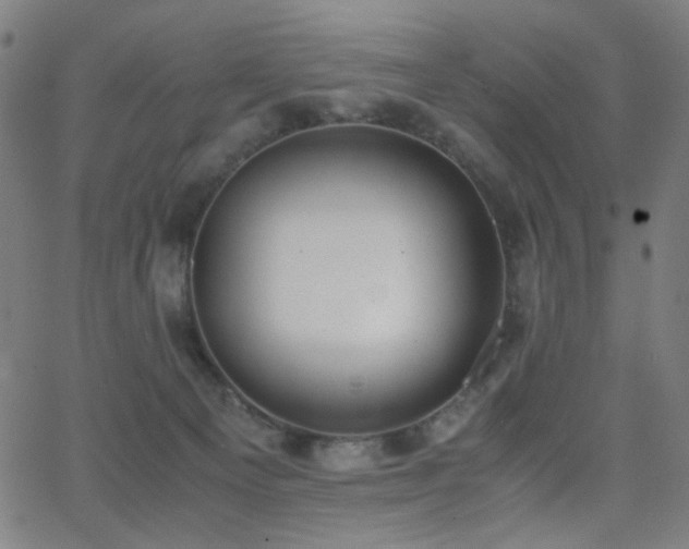 X0000062850129200601131359