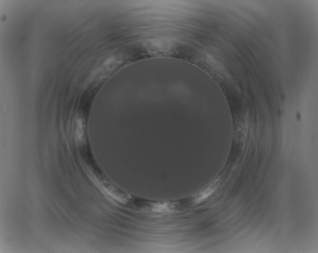 X0000062850130200601131359