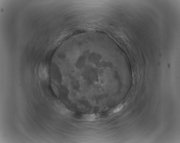 X0000062850131200601131359