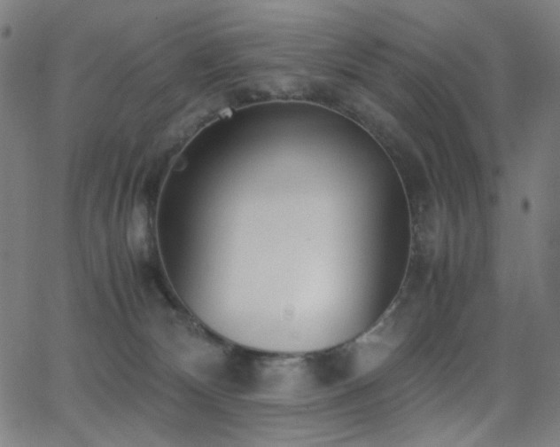 X0000062850132200601131359