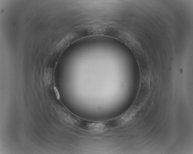 X0000062850133200601131359