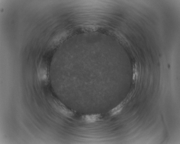 X0000062850134200601131359