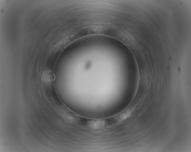 X0000062850135200601131359