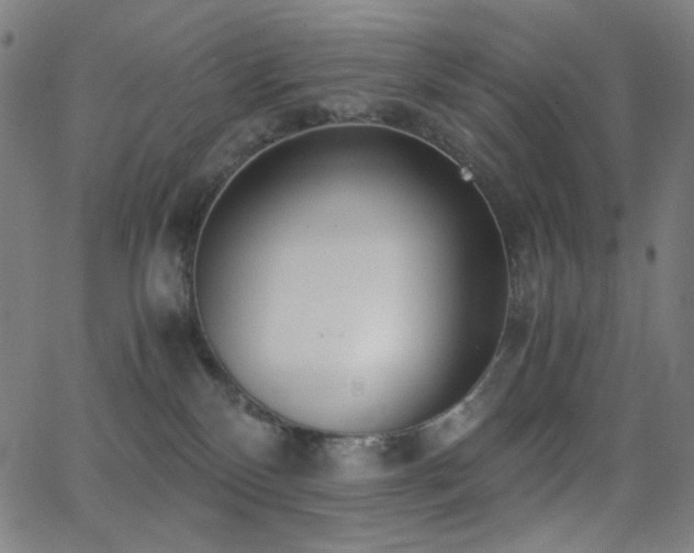 X0000062850136200601131359