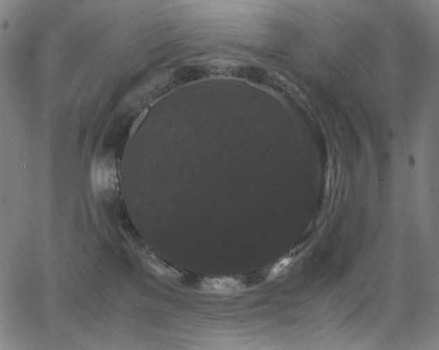 X0000062850137200601131359