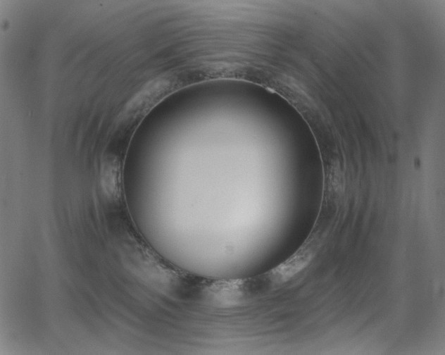 X0000062850138200601131359