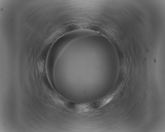 X0000062850139200601131359