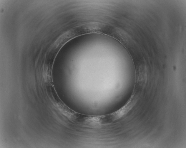 X0000062850140200601131359