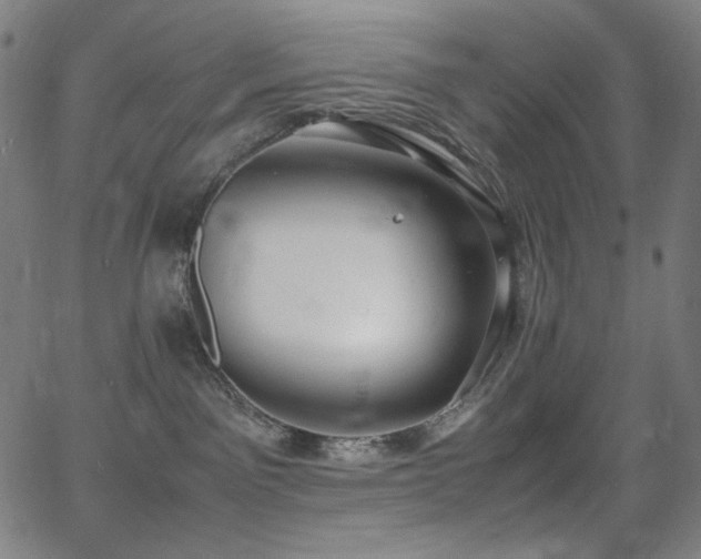 X0000062850141200601131359