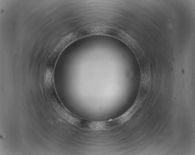 X0000062850142200601131359