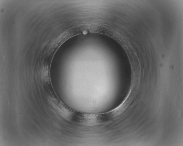 X0000062850144200601131359