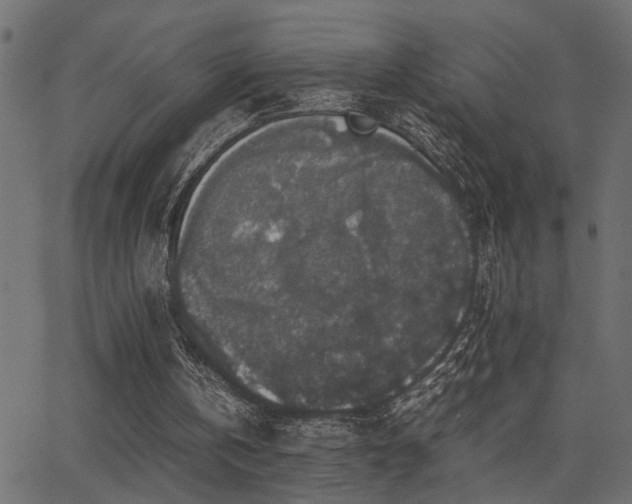 X0000062850146200601131358