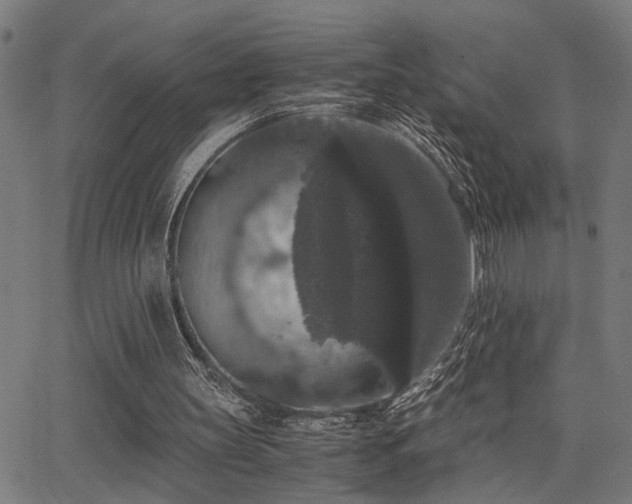 X0000062850147200601131358