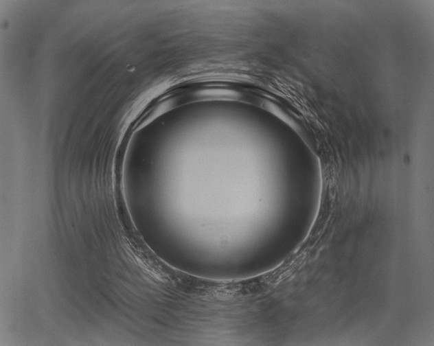 X0000062850148200601131358