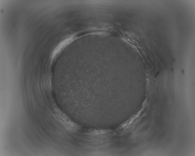 X0000062850149200601131358