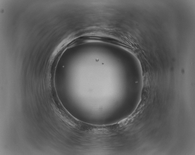 X0000062850150200601131359