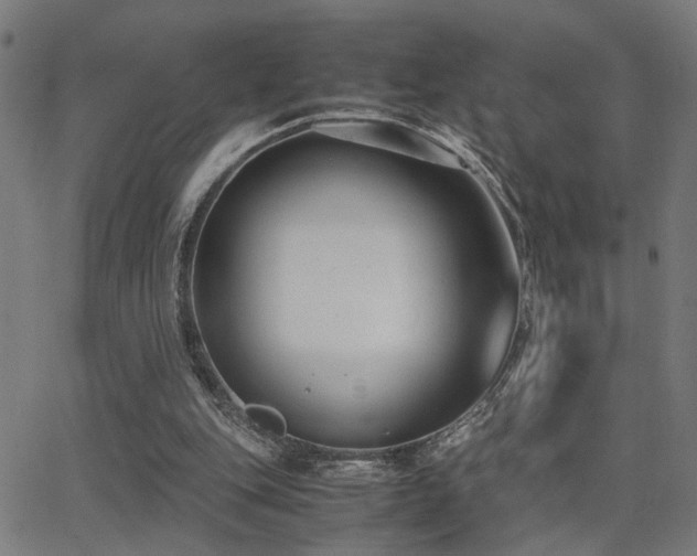 X0000062850151200601131359