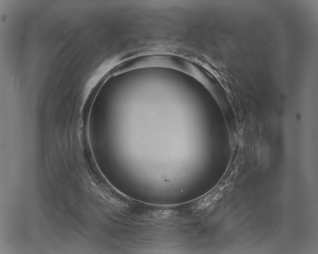 X0000062850152200601131359