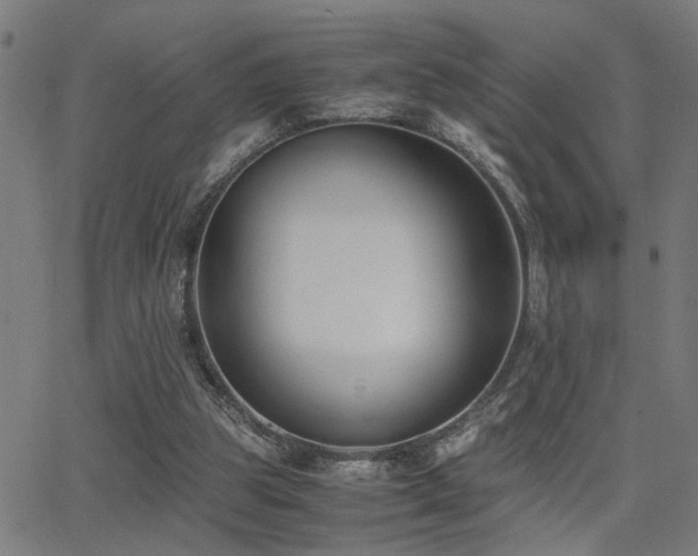 X0000062850153200601131359