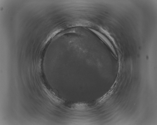 X0000062850154200601131359