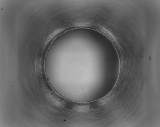 X0000062850155200601131359