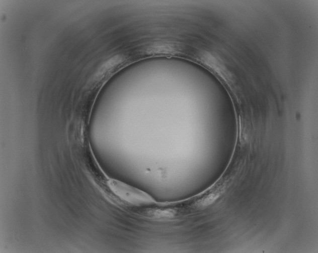 X0000062850157200601131359