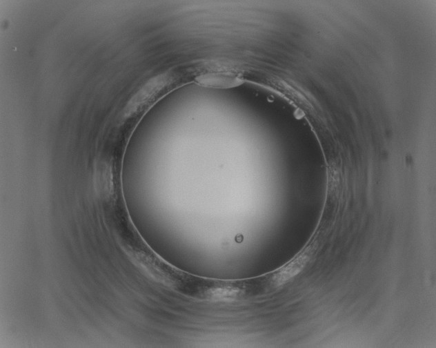 X0000062850158200601131359