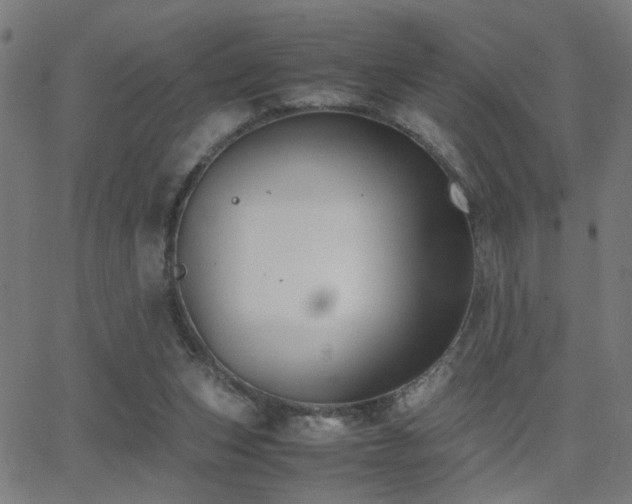 X0000062850159200601131359