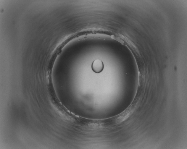 X0000062850160200601131359