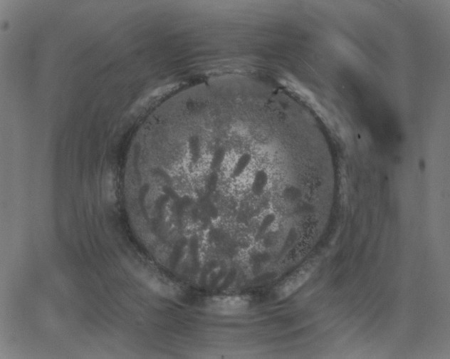 X0000062850161200601131359