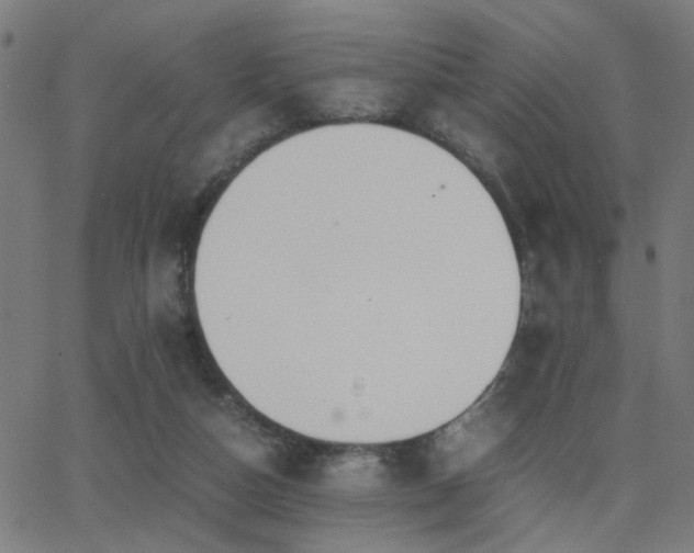 X0000062850162200601131359