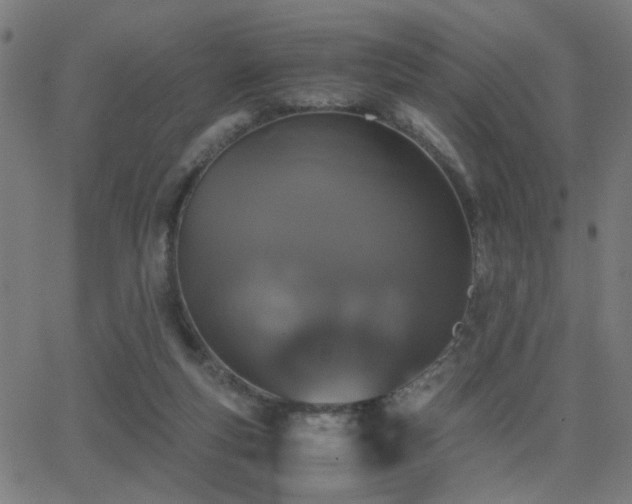 X0000062850163200601131359