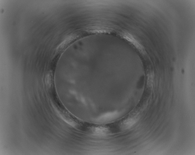 X0000062850165200601131359