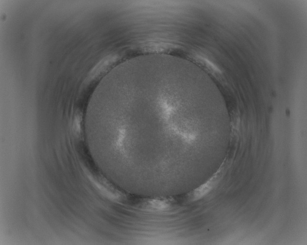 X0000062850166200601131359