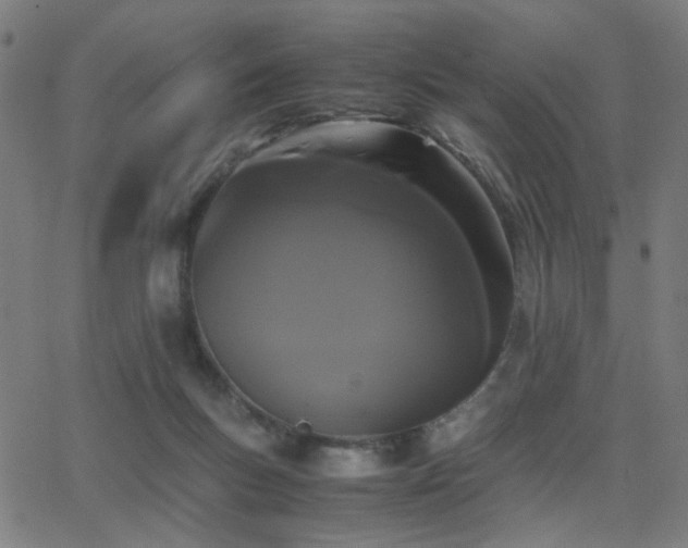 X0000062850167200601131359