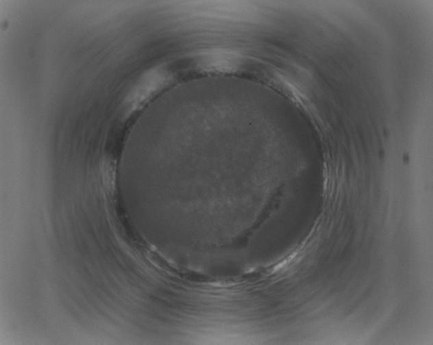 X0000062850168200601131359