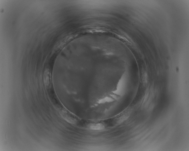 X0000062850169200601131359