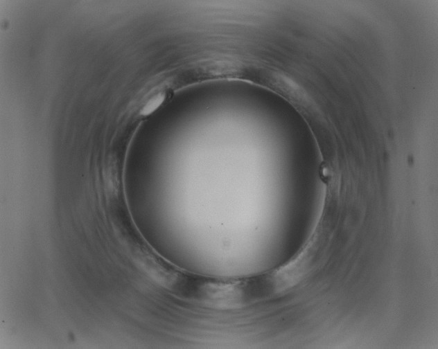 X0000062850170200601131359