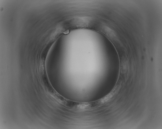 X0000062850172200601131359