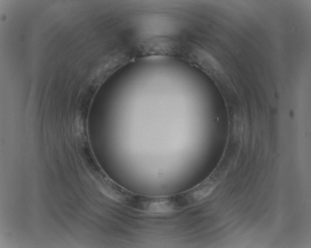 X0000062850173200601131359