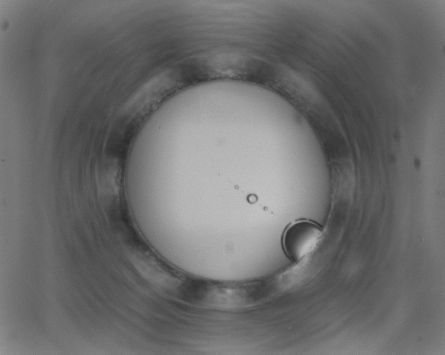 X0000062850174200601131359