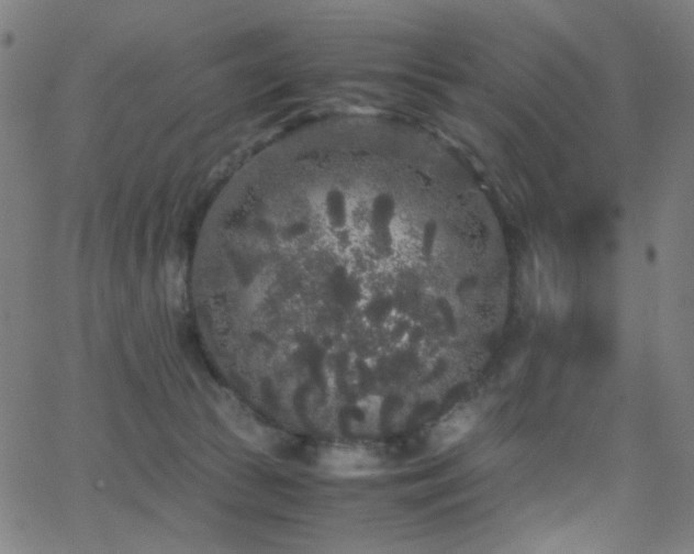 X0000062850177200601131359