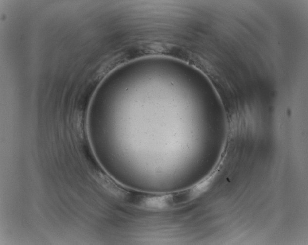 X0000062850178200601131359