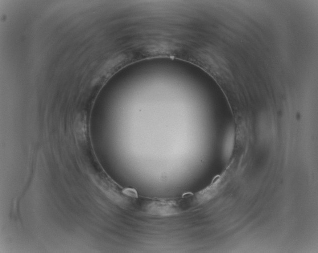 X0000062850179200601131359