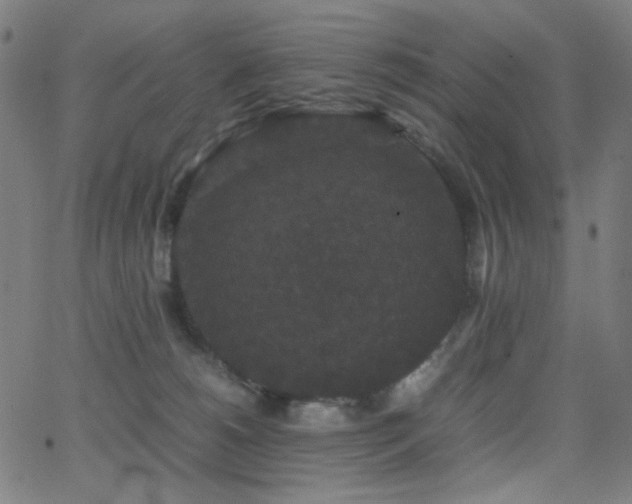 X0000062850180200601131359