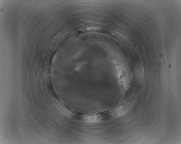 X0000062850181200601131359