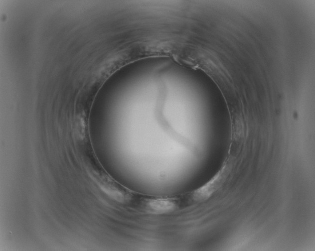 X0000062850183200601131359