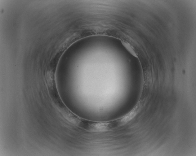 X0000062850184200601131359