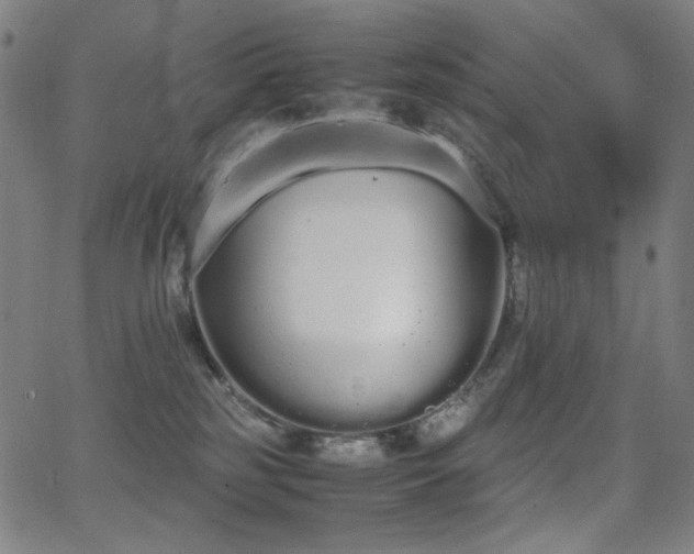 X0000062850185200601131359